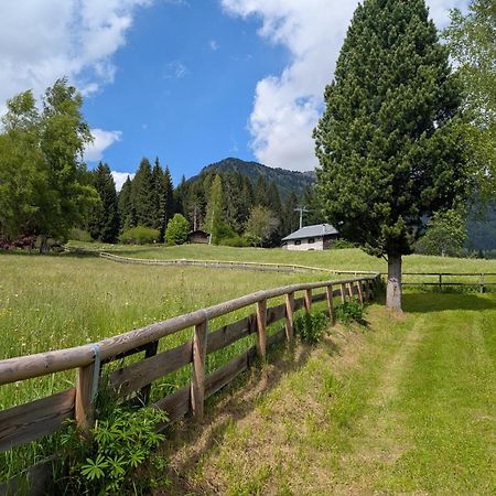 Apartamento Nido del Brenta Madonna Exterior foto