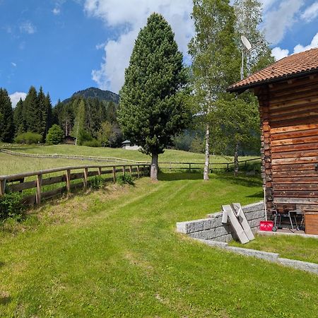Apartamento Nido del Brenta Madonna Exterior foto