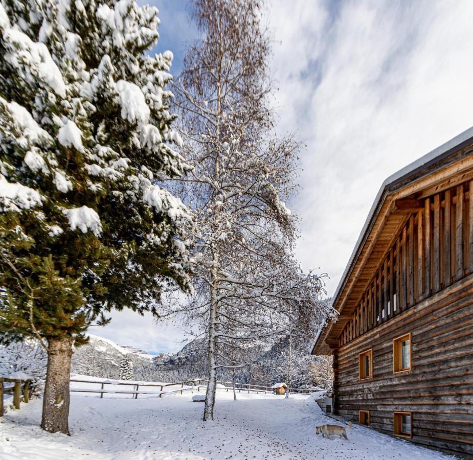 Apartamento Nido del Brenta Madonna Exterior foto