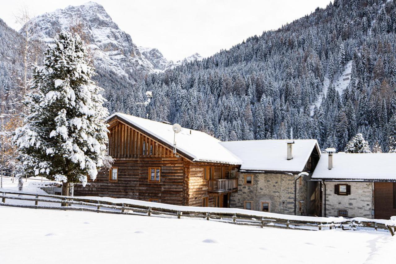 Apartamento Nido del Brenta Madonna Exterior foto